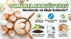 YUMURTA KABUĞU TOZU NERELERDE VE NİÇİN KULLANILIR!