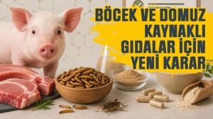 YILLAR ÖNCE GİMDESİN YASAKLADIĞI BÖCEK PROTEİNİNİ NİHAYET DEVLETİMİZ DE YASAKLADI