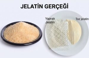JELATİNİN ALTERNATİFLERİ VE SANAYİDEKİ YERİ:  SANAYİ NEDEN JELATİNDEN VAZGEÇEMİYOR?